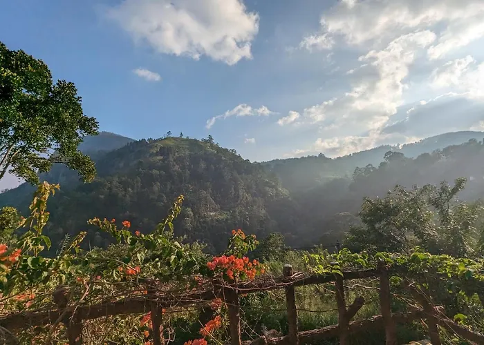 Lavendra Paradise