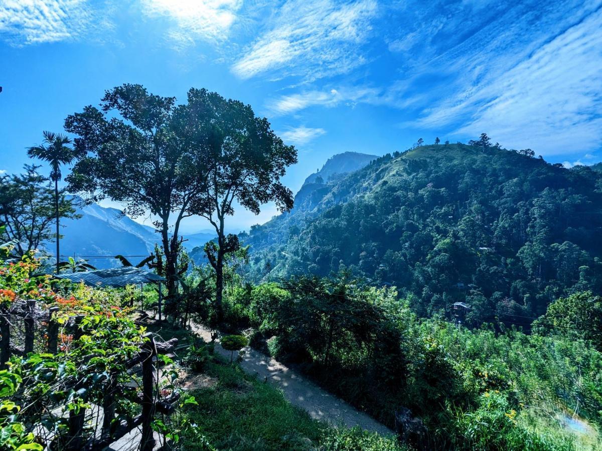 Lavendra Paradise सराय *